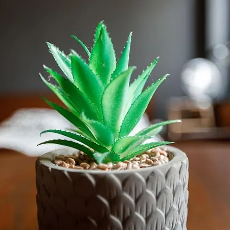 Lägenhet Ga- Cozy Wroclaw&k28 *