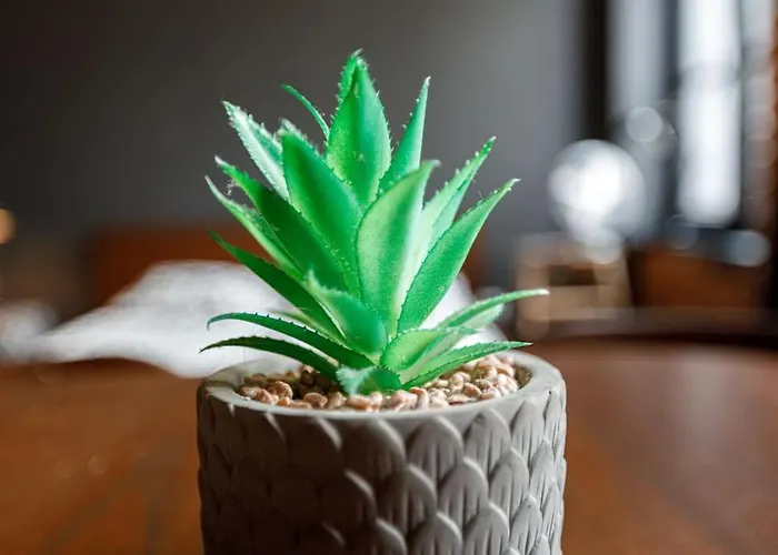 Διαμέρισμα Ga- Cozy Wroclaw&k28 *